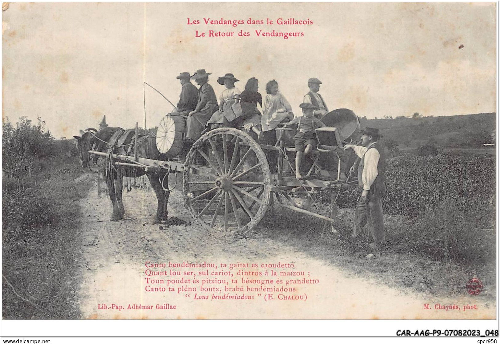 CAR-AAGP9-81-0806 - LES VENDANGES DANS LE GAILLACOIS - Le Retour Des Vendangeurs  - Other & Unclassified