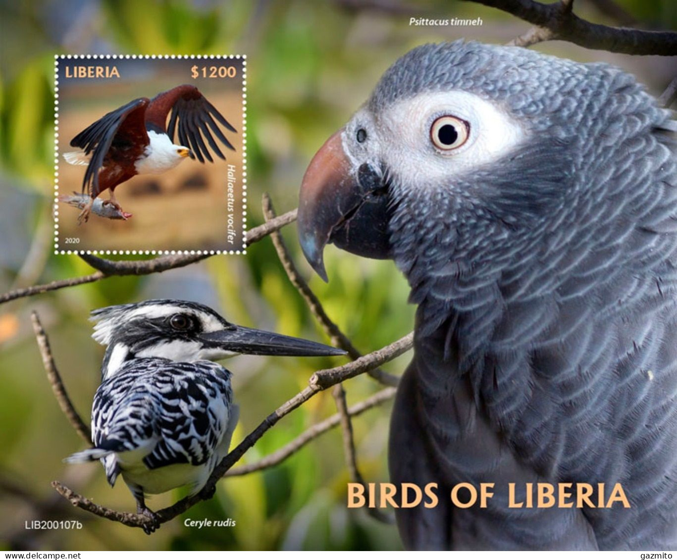 Liberia 2020, Animals, Birds, Eagle, Fish, Parrot, Kingfisher, BF - Sperlingsvögel & Singvögel