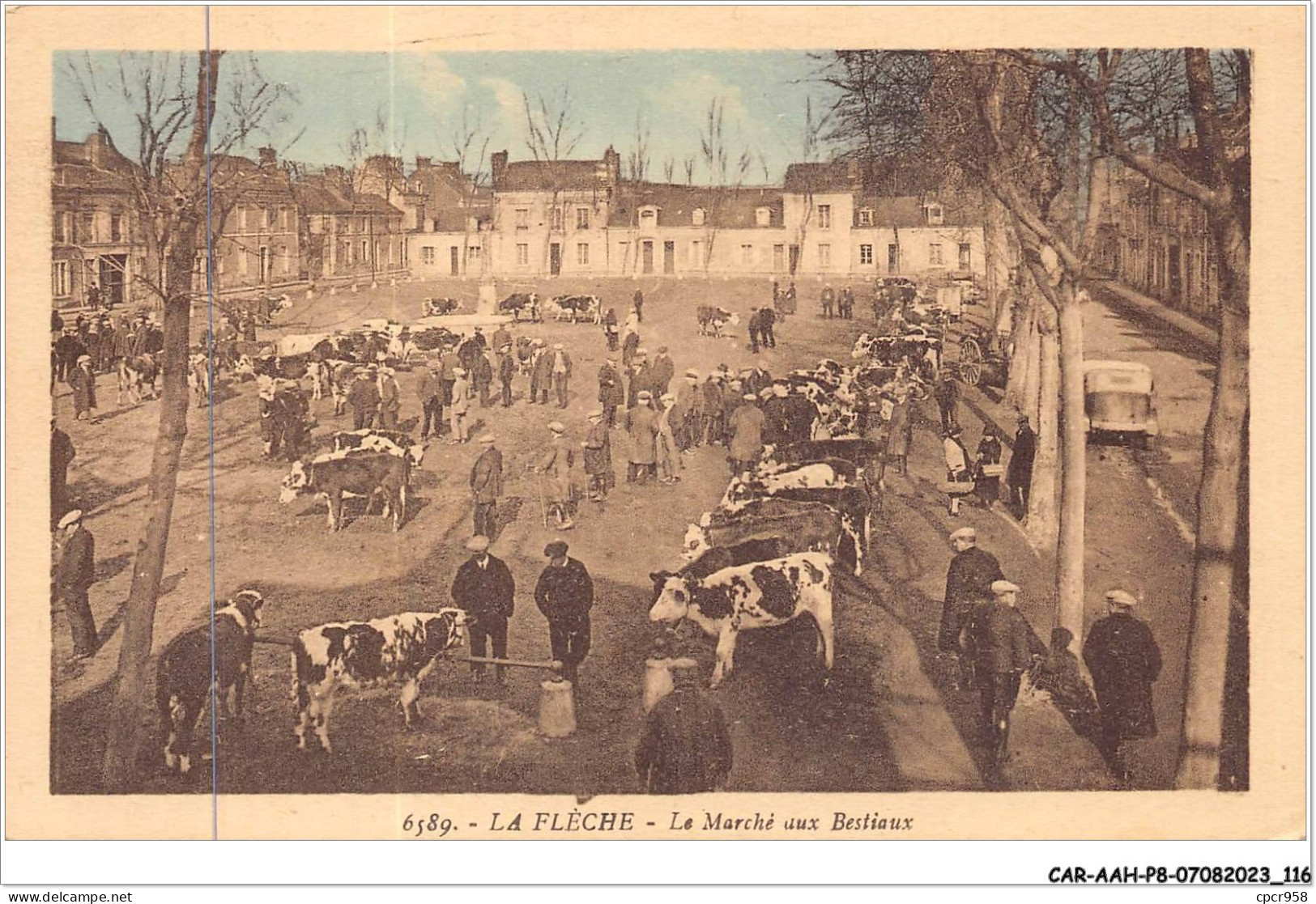 CAR-AAHP8-72-0728 - LA FLECHE - Le Marché Aux Bestiaux  - La Fleche