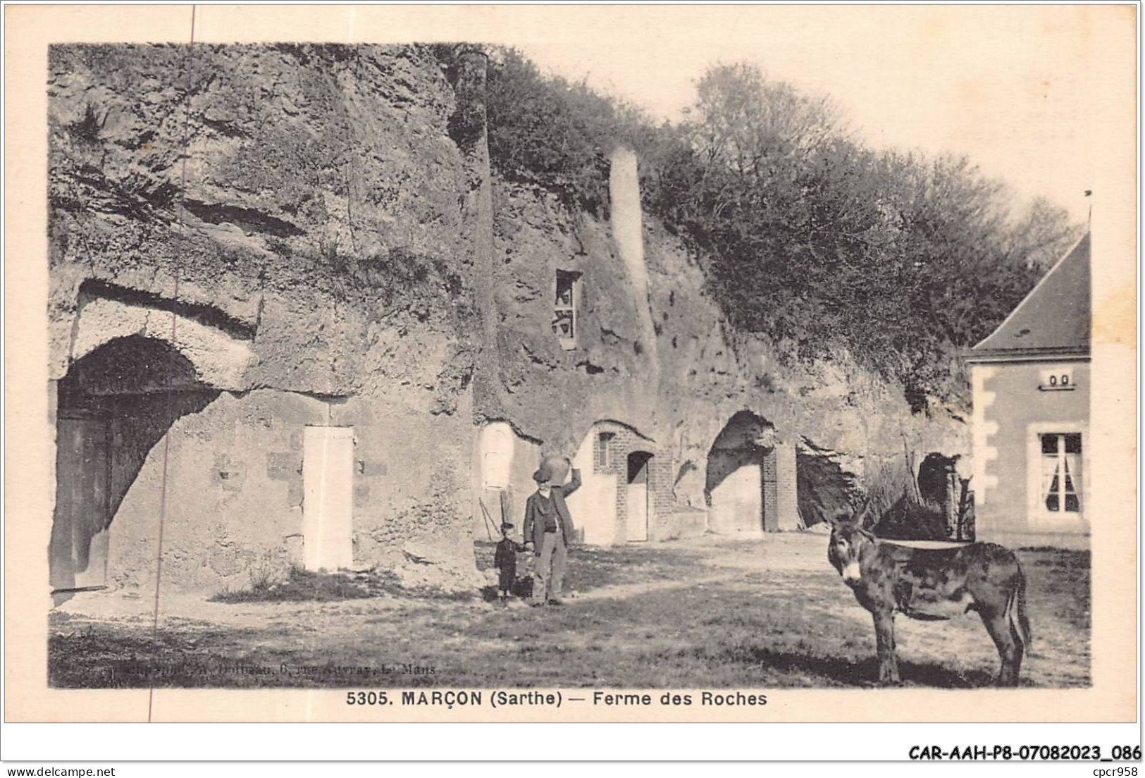 CAR-AAHP8-72-0713 - MARCON - Ferme Des Roches - Ane - Other & Unclassified