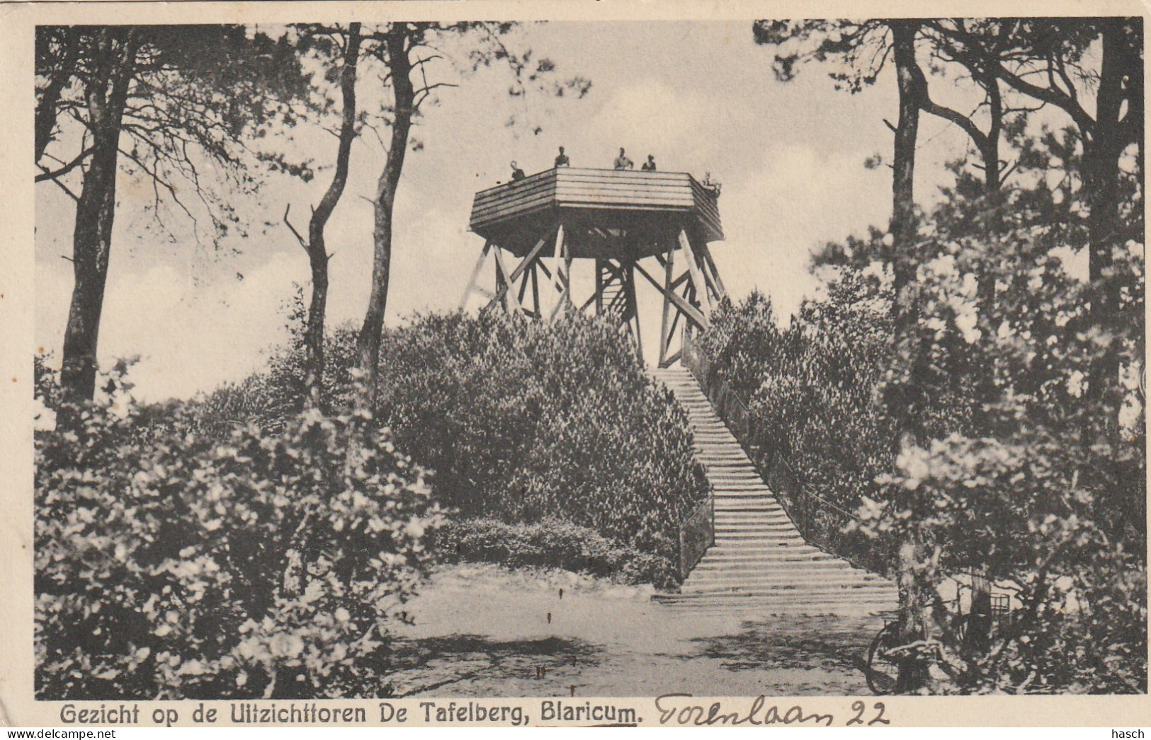 4933 66 Blaricum, Gezicht Op De Uitzichttoren De Tafelberg. 1936. (Minuscule Vouwen In De Hoeken)  - Laren (NH)