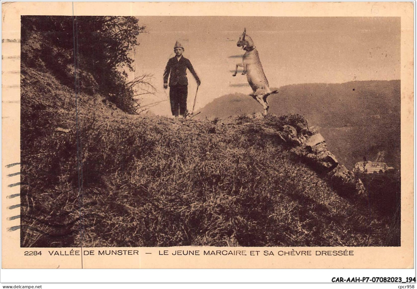 CAR-AAHP7-68-0667 - VALLEE DE MUNSTER - Le Jeune Marcaire Et Sa Chèvre Dressée - Autres & Non Classés