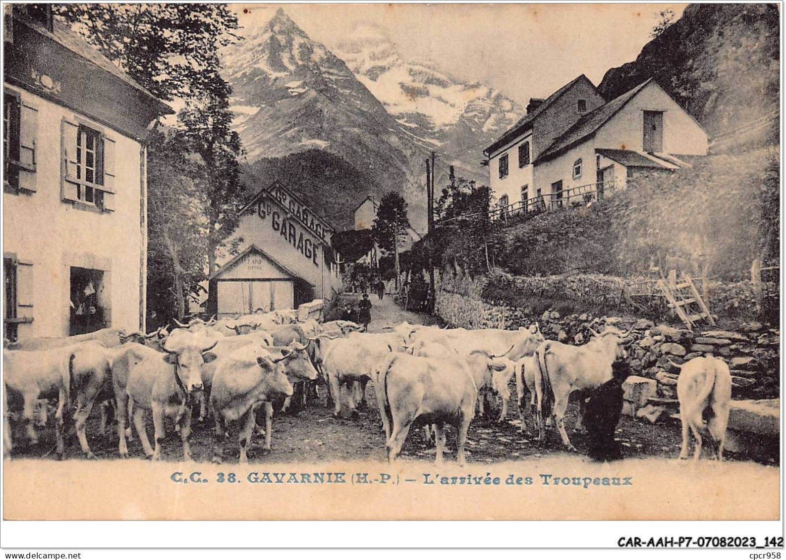 CAR-AAHP7-65-0641 - GAVARNIE - L'arrivée Des Troupeaux - Grand Garage - Agriculture - Gavarnie