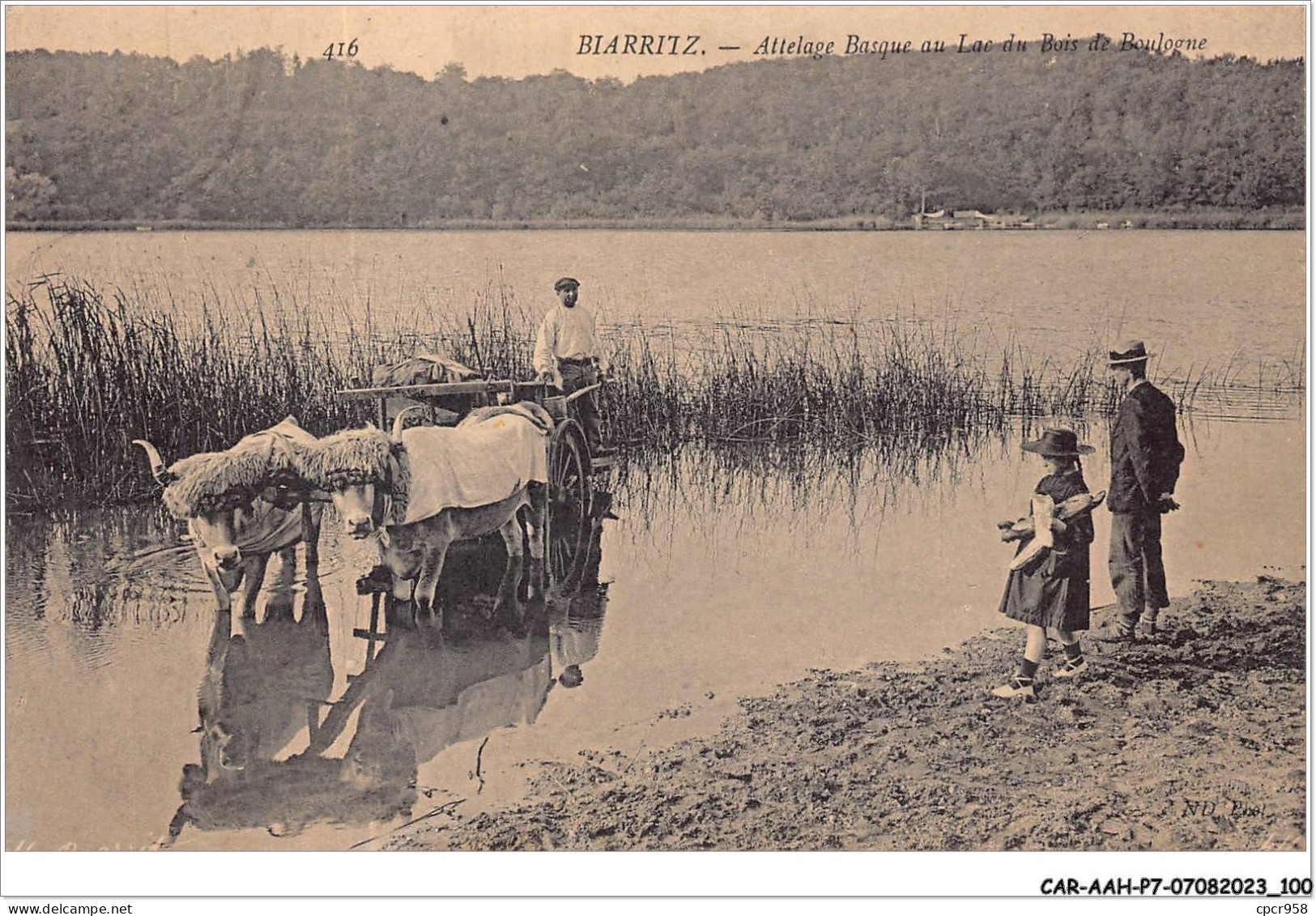 CAR-AAHP7-64-0620 - BIARRITZ - Attelage Basque Au Lac Du Bois De Boulogne - Agriculture - Biarritz