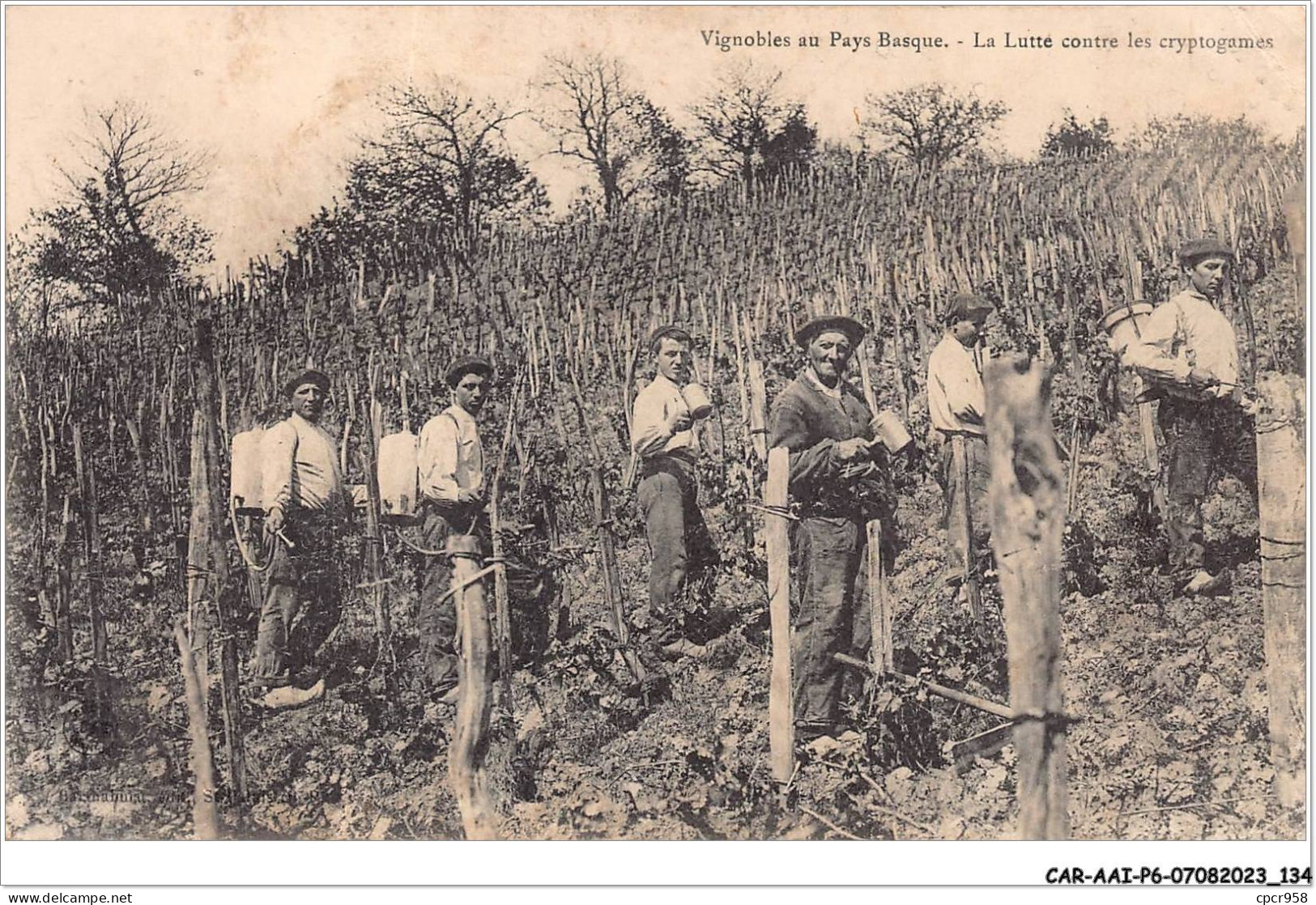 CAR-AAIP6-64-0535 - Vignobles Au Pays Basque - La Lutte Contre Les Cryptogames - Agriculture  - Other & Unclassified