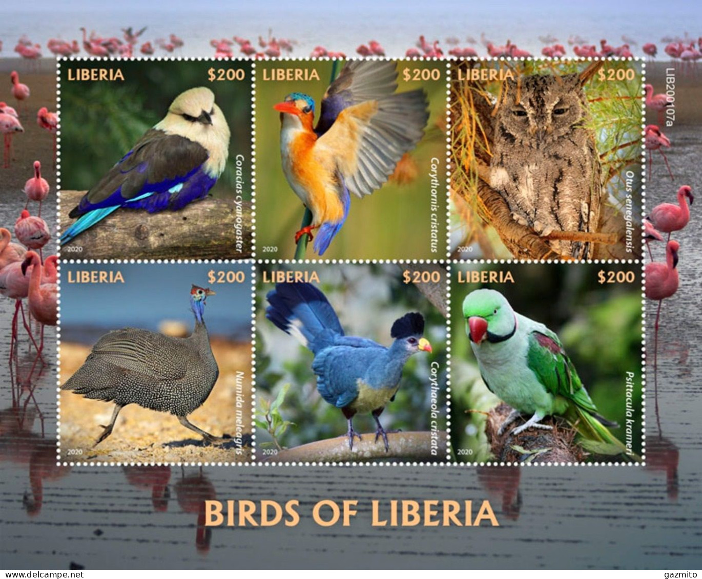 Liberia 2020, Animals, Birds, Kingfisher, Owl, Parrot, Flamingos, 6val In BF - Flamencos