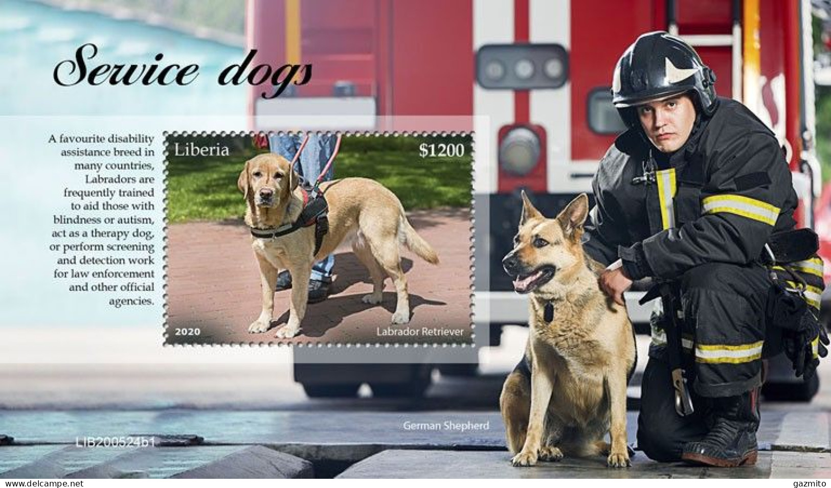 Liberia 2020, Animals, Dogs Service, Fireman, BF - Bombero