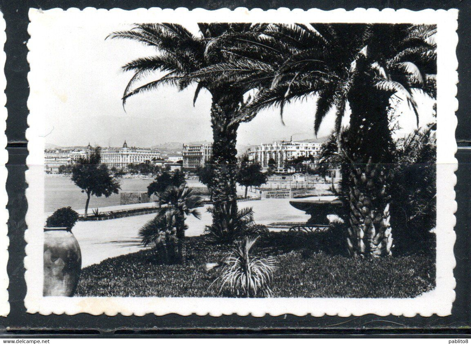 FRANCE FRANCIA CANNES LE PARC ALBERT 1er CARTE CARD CARTOLINA UNUSED NUOVA - Autres & Non Classés