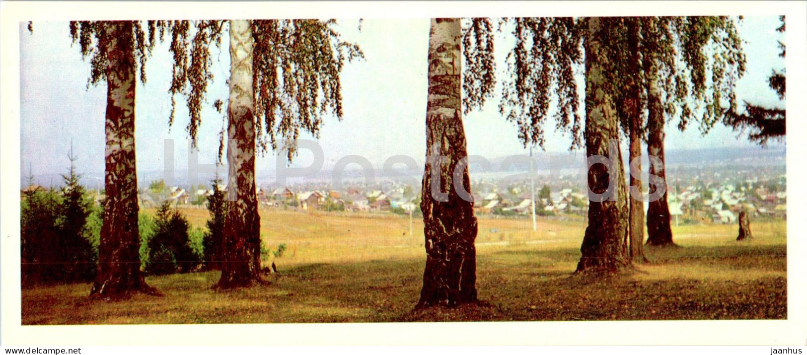 Russian Composer Tchaikovsky Museum In Votkinsk - Town Of Votkinsk - Birch Trees - 1979 - Russia USSR - Used - Rusland