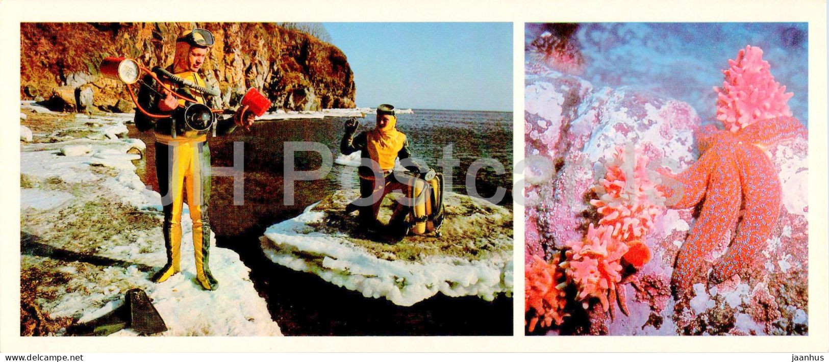 Vladivostok - Ocean Explorers - Undersea World - Starfish - Scuba - 1981 - Russia USSR - Unused - Russie