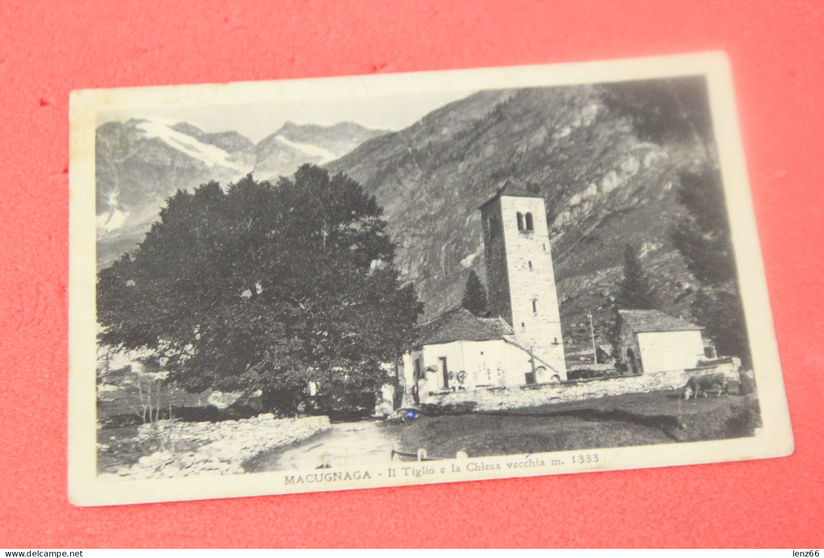 VCO Macugnaga Il Tiglio E La Chiesa Vecchia 1930 Ed. De Giorgi + Segni Di Pieghe E Timbro Modern Hotel - Verbania