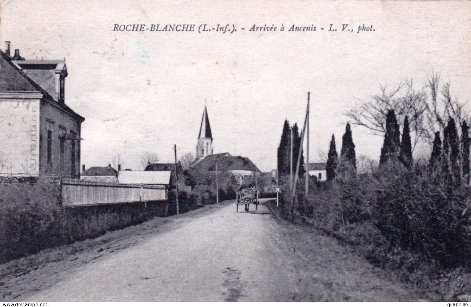 44 - Loire Atlantique - ROCHE BLANCHE - Arrivée A Ancenis - Sonstige & Ohne Zuordnung