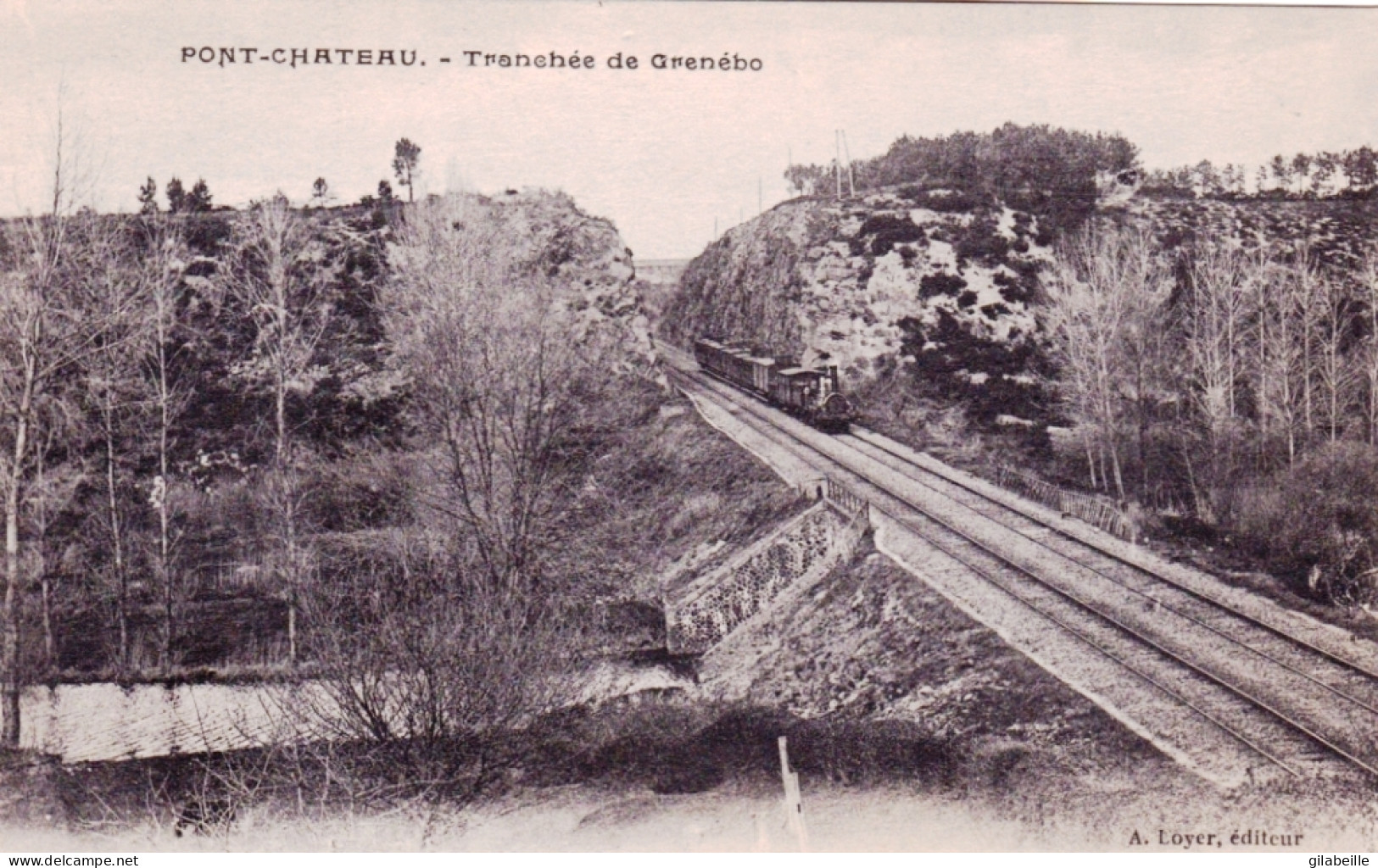 44 - Loire Atlantique - PONTCHATEAU - PONT CHATEAU - Train Vapeur Dans La Tranchée De Grenebo - Pontchâteau