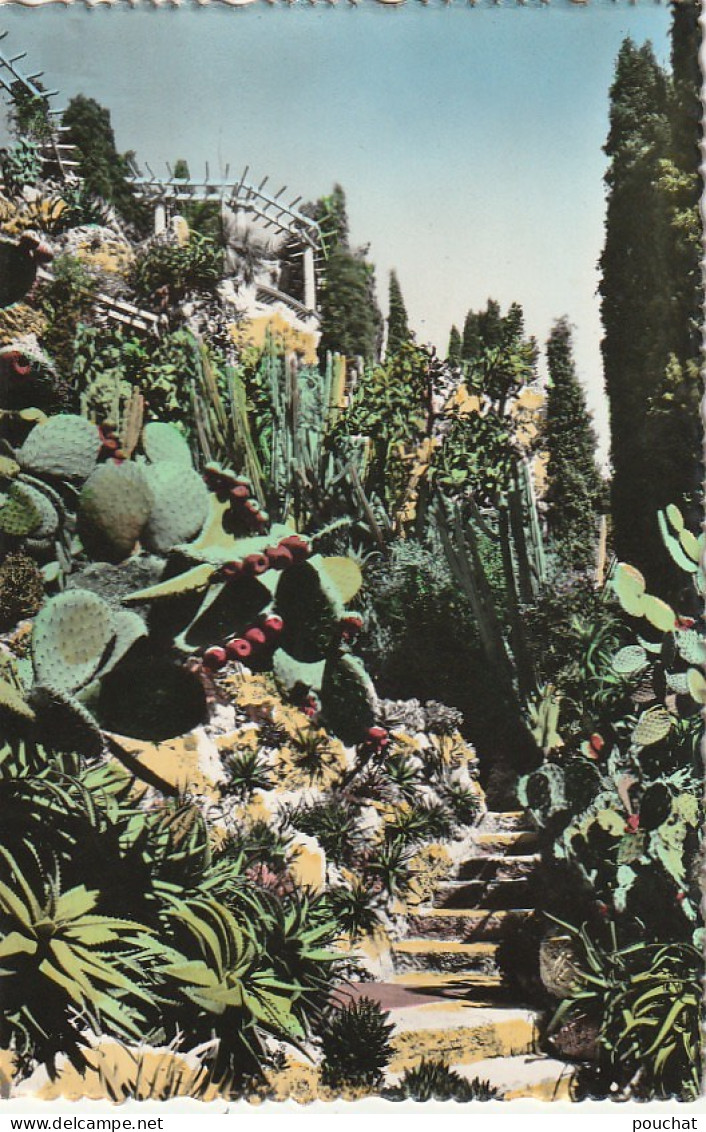 MO 15- JARDIN EXOTIQUE DE MONACO -  CARTE  COULEURS - 2 SCANS  - Exotic Garden