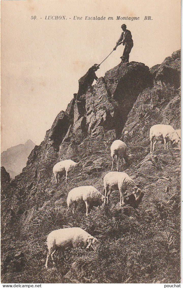 MO 18-(31) LUCHON - UNE ESCALADE EN MONTAGNE - BERGERS , TROUPEAU DE BREBIS , MOUTONS- 2 SCANS  - Luchon