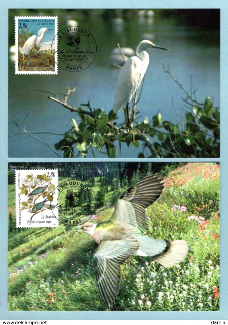 Carte Maximum 1995 - Série Les Oiseaux De John J. Audubon - YT 2929 à YT 2932 - Pigeon, Aigrette, Sterne, Buse - Paris - 1990-1999