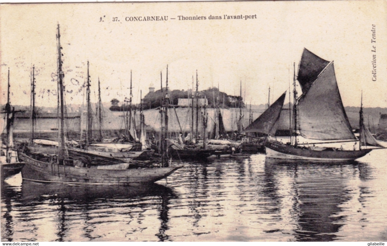 29 - Finistere - CONCARNEAU - Thonniers Dans L'avant Port - Concarneau
