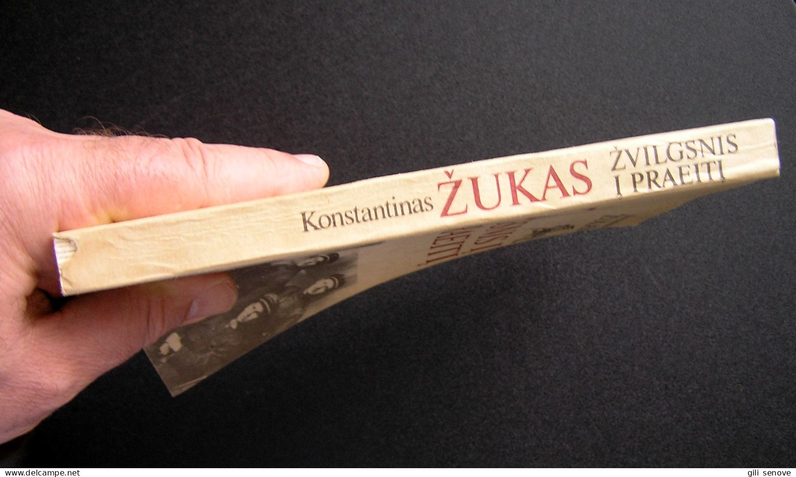 Lithuanian Book / Žvilgsnis į Praetį 1992 - Ontwikkeling