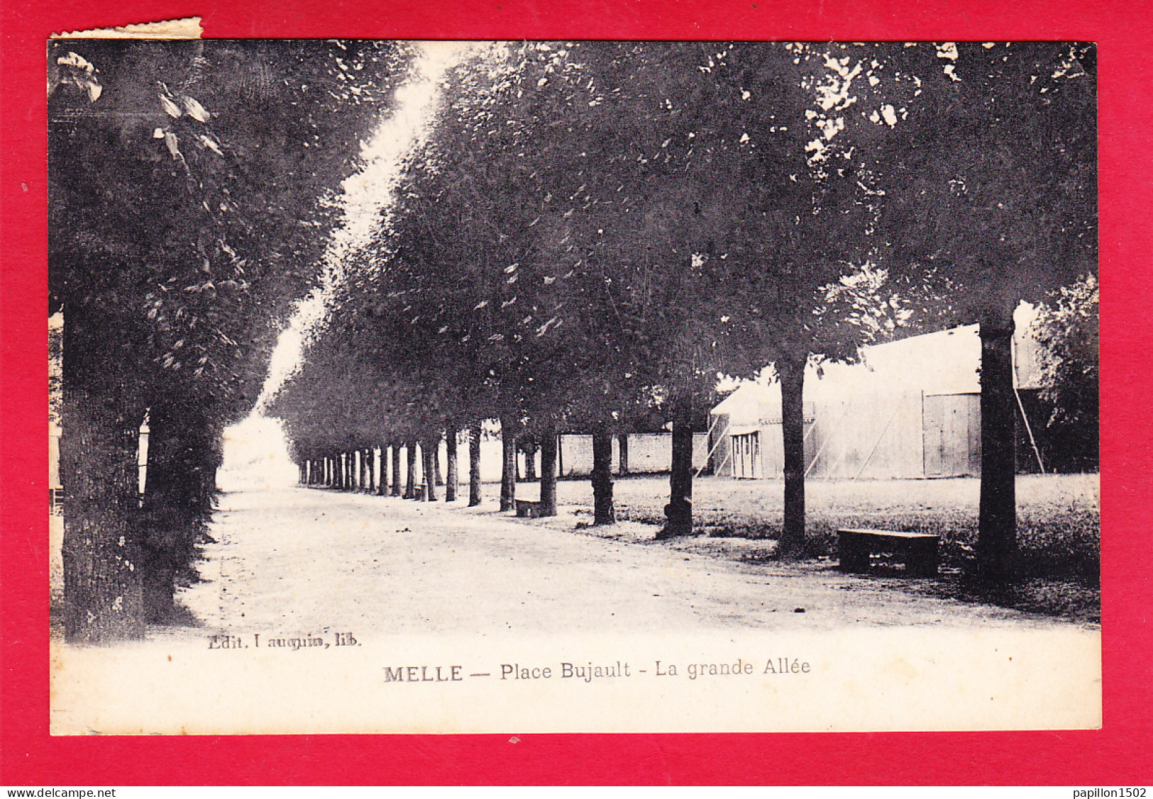 F-79-Melle-08P260  Place Bujault, La Grande Allée, Cpa BE - Melle