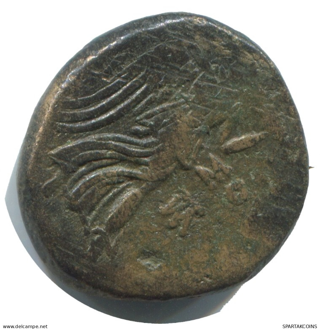 AMISOS PONTOS AEGIS WITH FACING GORGON GRIECHISCHE Münze 8g/22mm #AF777.25.D.A - Greek