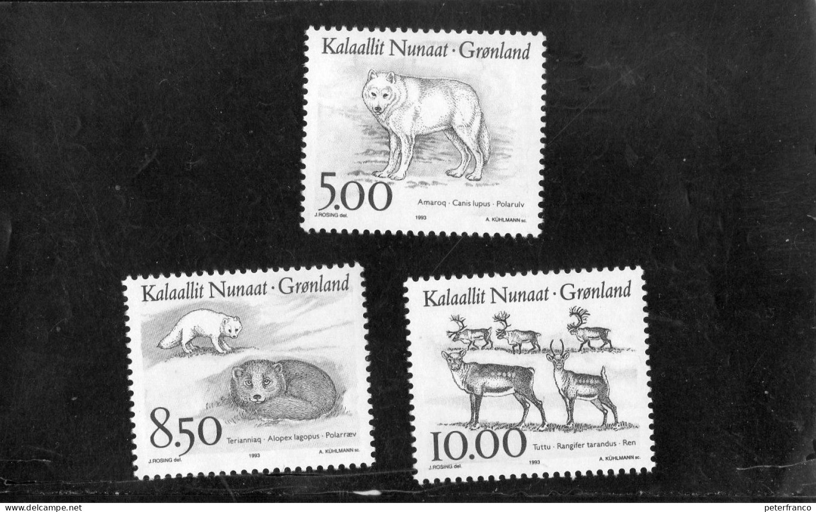 1993 Groenlandia - Mammiferi - Unused Stamps