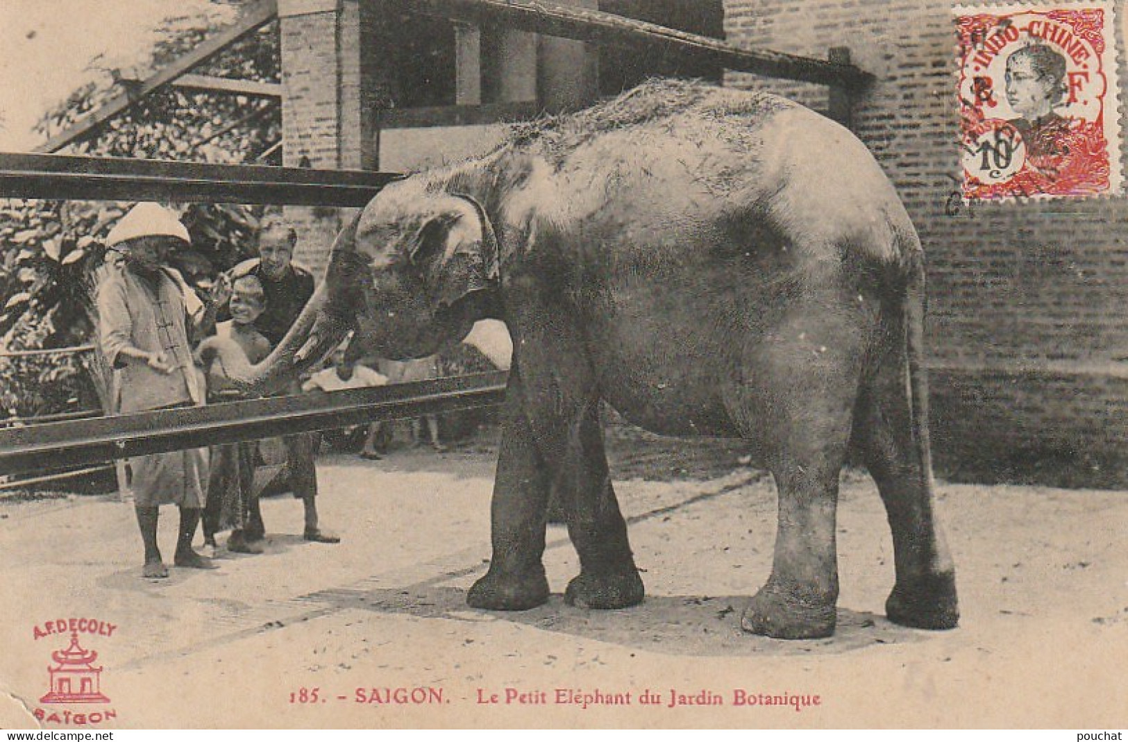 NE 12- SAIGON - LE PETIT ELEPHANT DU JARDIN BOTANIQUE  - 2 SCANS - Vietnam