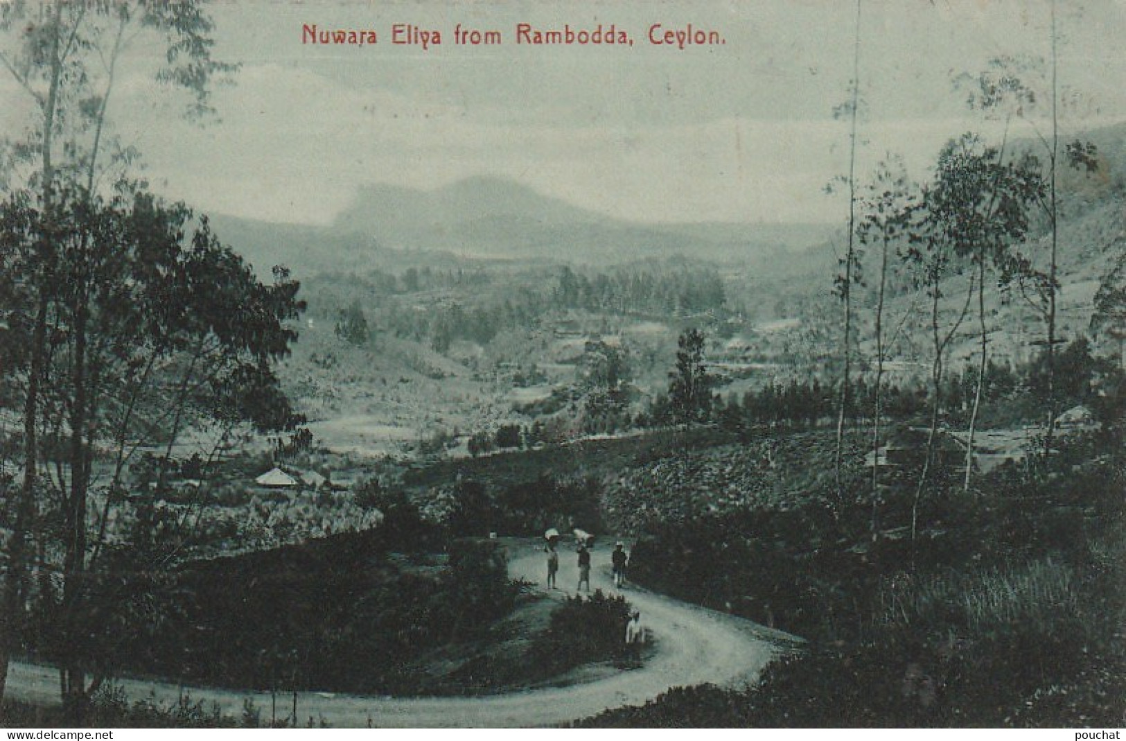 NE 13 - CEYLON -  NUWARA ELIYA FROM RAMBODDA - 2 SCANS - Sri Lanka (Ceylon)