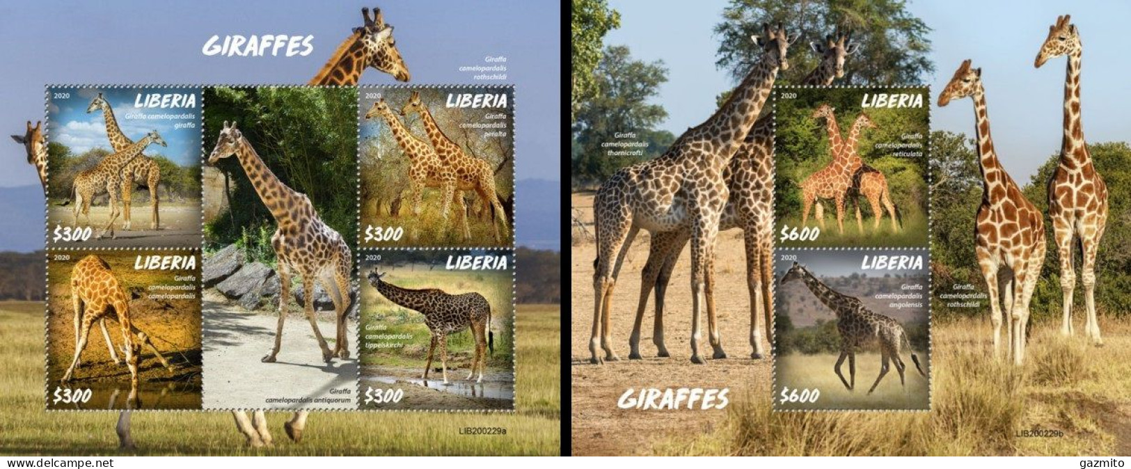 Liberia 2020, Animals, Giraffes, 4val In BF+BF - Liberia