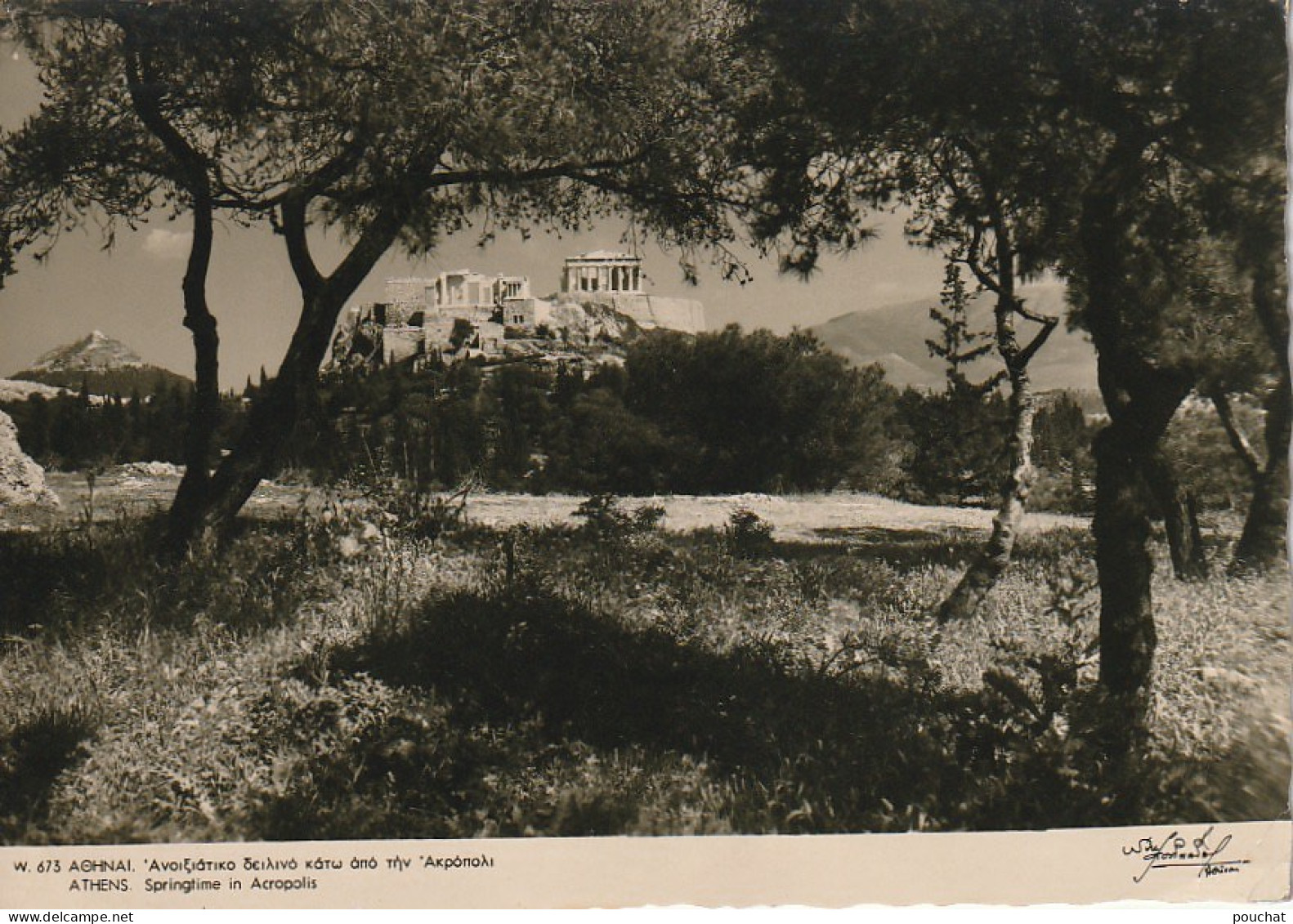 NE 15 - ATHENS - SRINGTIME IN ACROPOLIS - ATHENES - PRINTEMPS A L' ACROPOLE - 2 SCANS - Greece