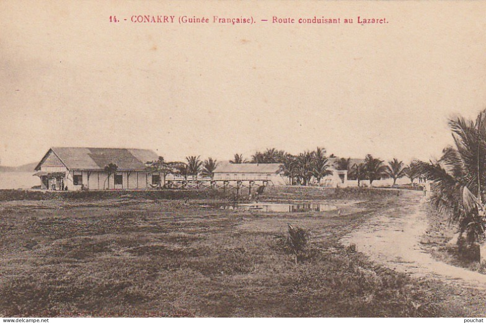 NE 16- GUINEE FRANCAISE - CONAKRY - KONAKRY - ROUTE CONDUISANT AU LAZARET - 2 SCANS - Guinée Française