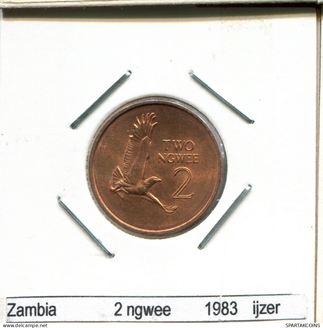 2 NGWEE 1983 SAMBIA ZAMBIA Münze #AS341.D.A - Zambie