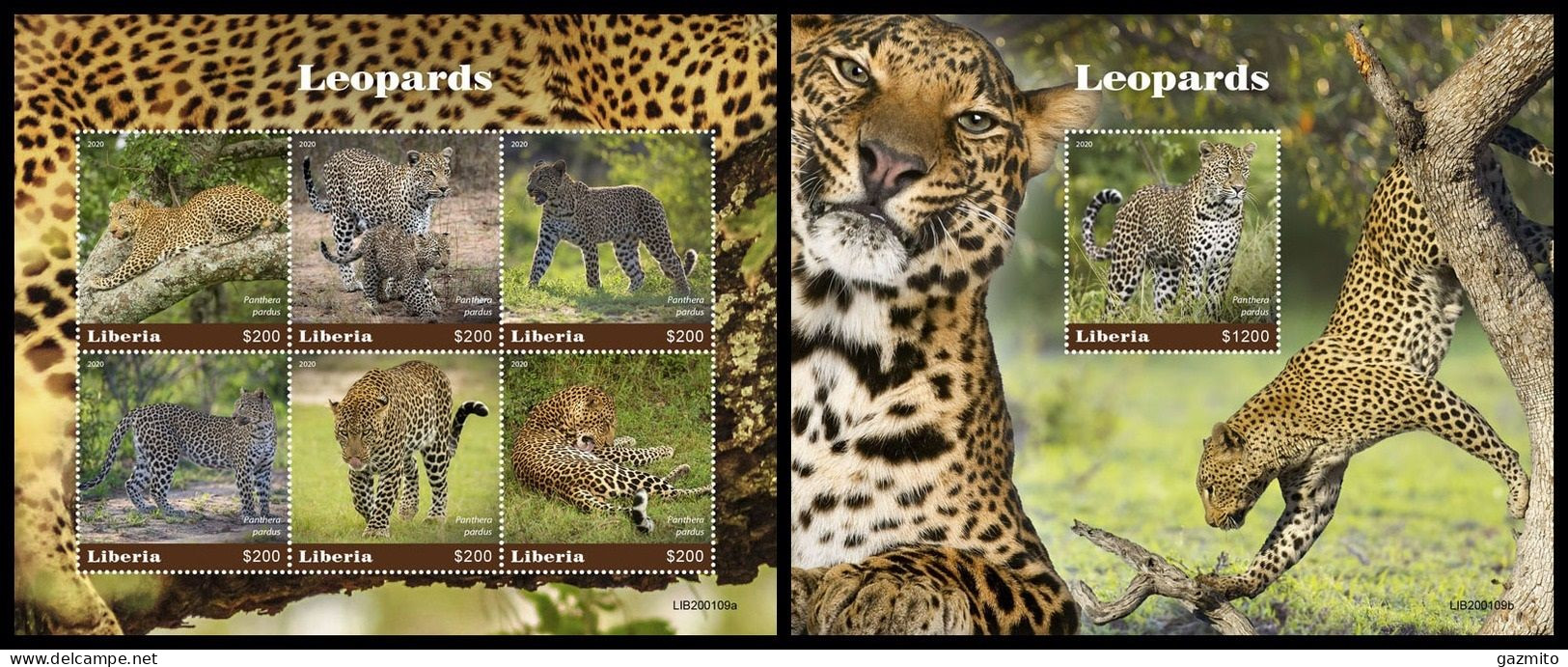 Liberia 2020, Animals, Leopards, 6val In Block +Block - Raubkatzen