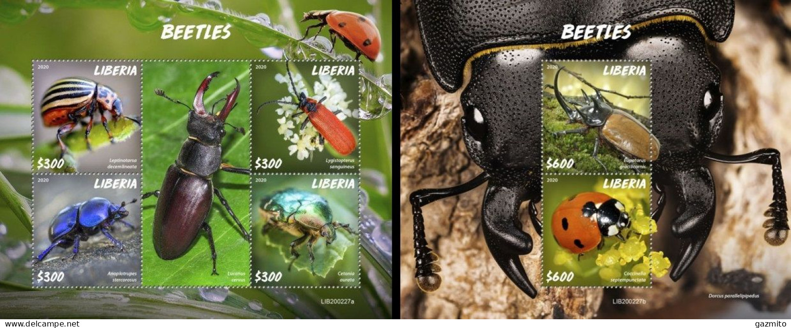 Liberia 2020, Animals, Insects, 4val In BF+BF - Escarabajos