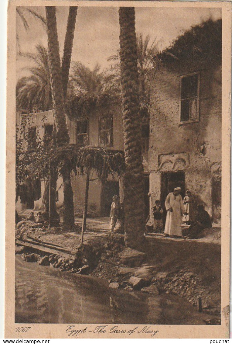 NE 19 - EGYPT - THE OASIS OF MARG - 2 SCANS - Other & Unclassified