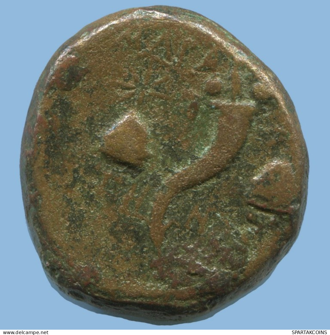 ALEXANDER CORNUCOPIA BRONZE Antike GRIECHISCHE Münze 10g/21mm #AF839.12.D.A - Greche