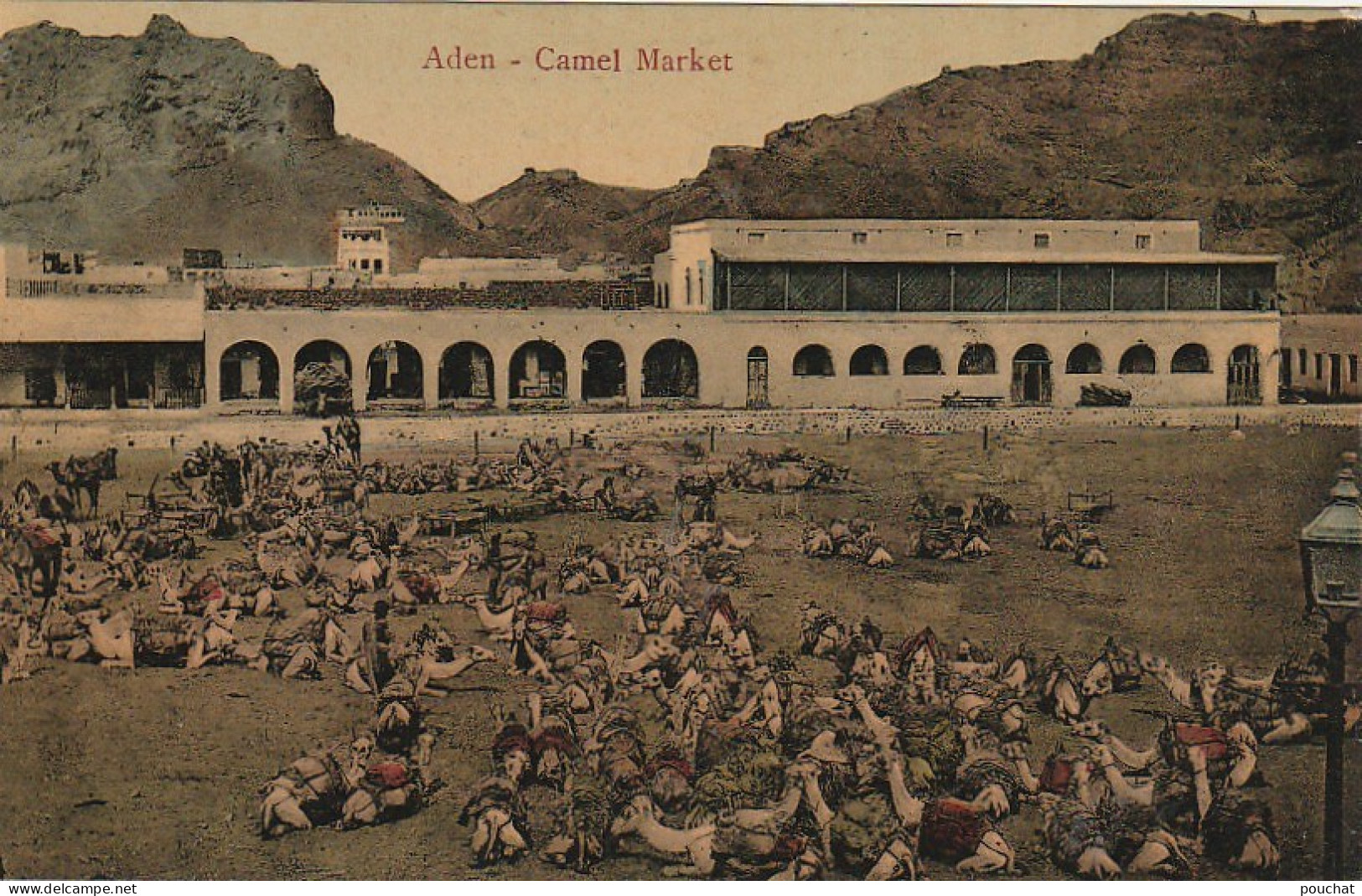 NE 19 - YEMEN - ADEN - CAMEL MARKET - MARCHE AUX CHAMEAUX - CARTE COLORISEE  - 2 SCANS - Yémen