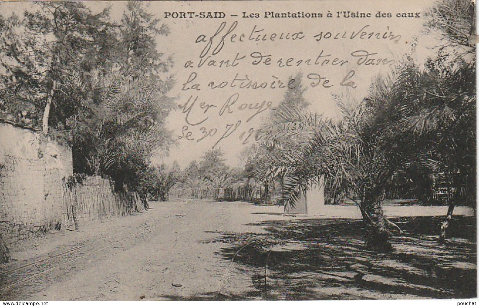 NE 19 - EGYPTE - PORT SAID - LES PLANTATIONS A L' USINE DES EAUX  - 2 SCANS - Port-Saïd