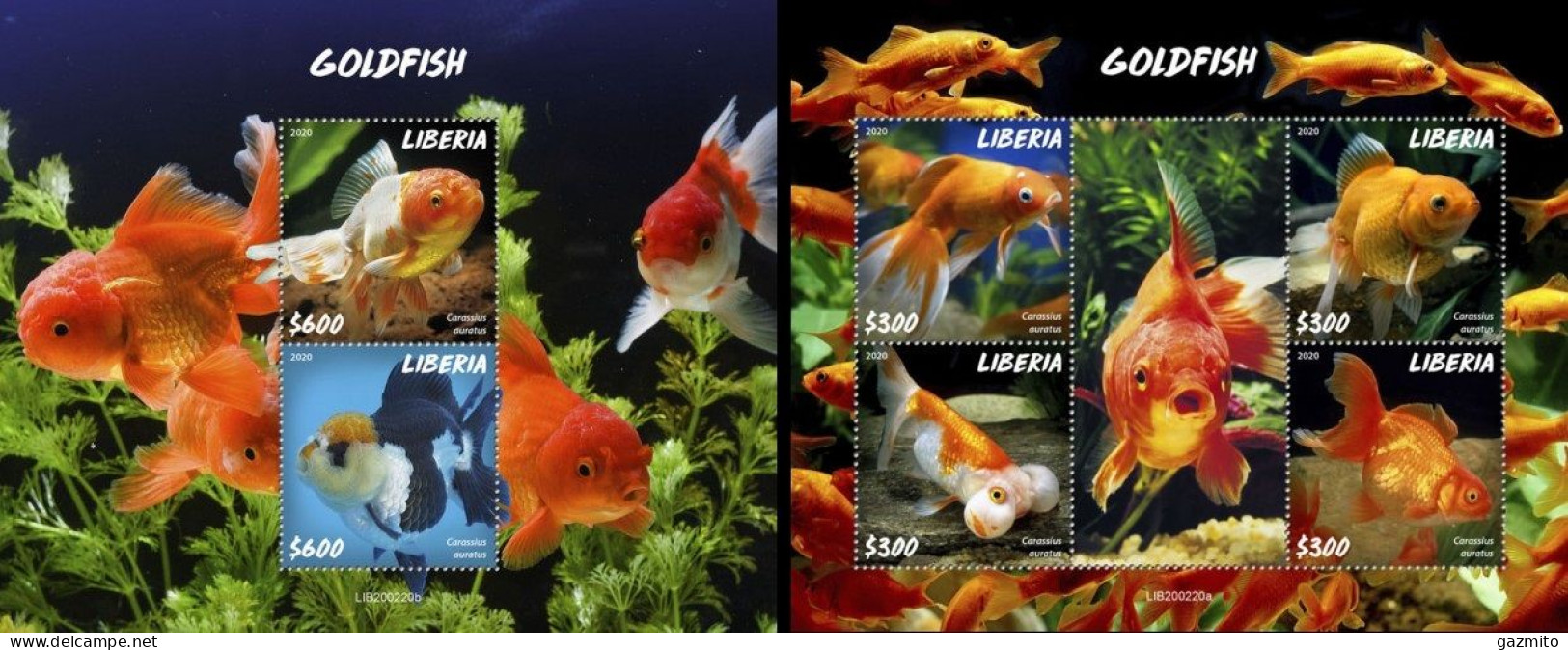 Liberia 2020, Animals, Goldfish, 4val In BF+BF - Peces