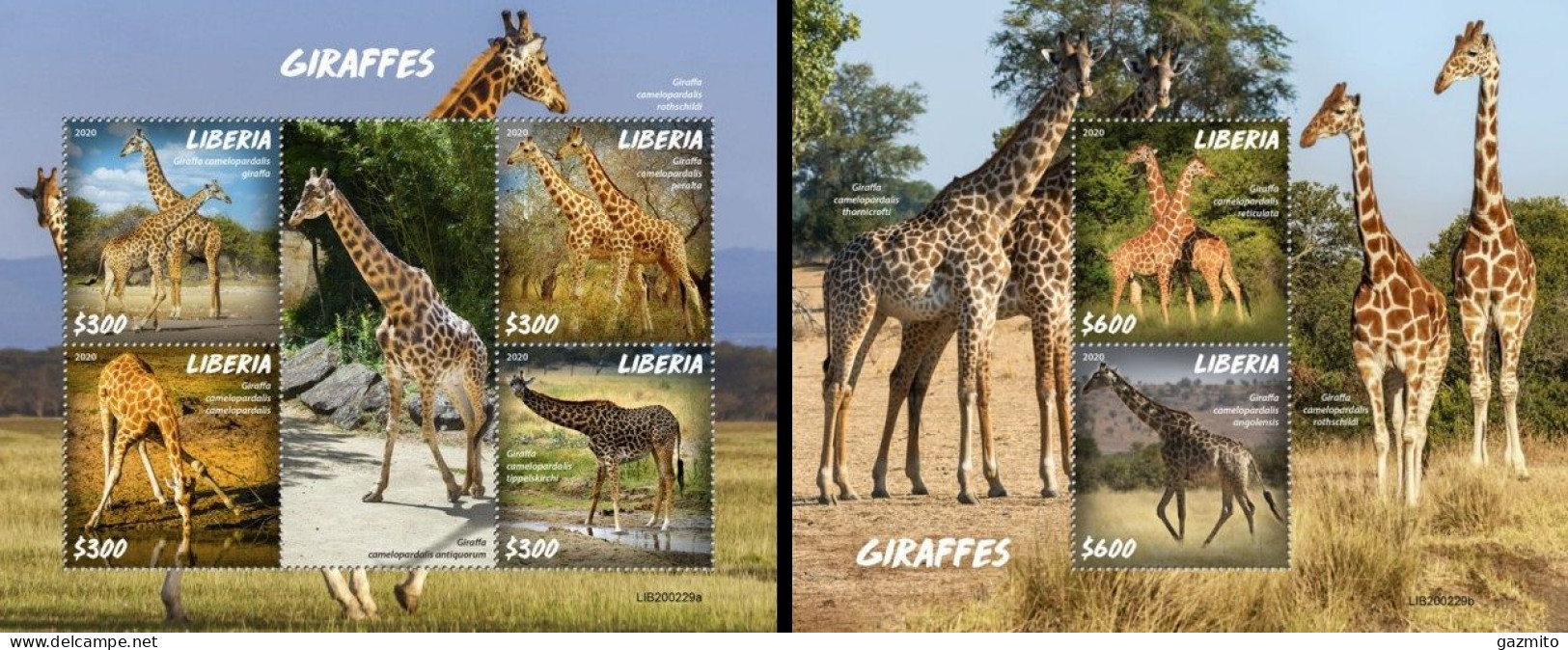 Liberia 2020, Animals, Giraffes, 4val In BF+BF - Giraffes