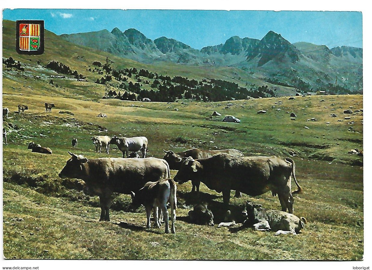 PASTURATGES DE LA VALL D'ENVALIRA / PASTURAGE IN THE ENVALIRA VALLEY.- VALLS D'ANDORRA.- VALL D'ENVALIRA,. ANDORRA - Andorre