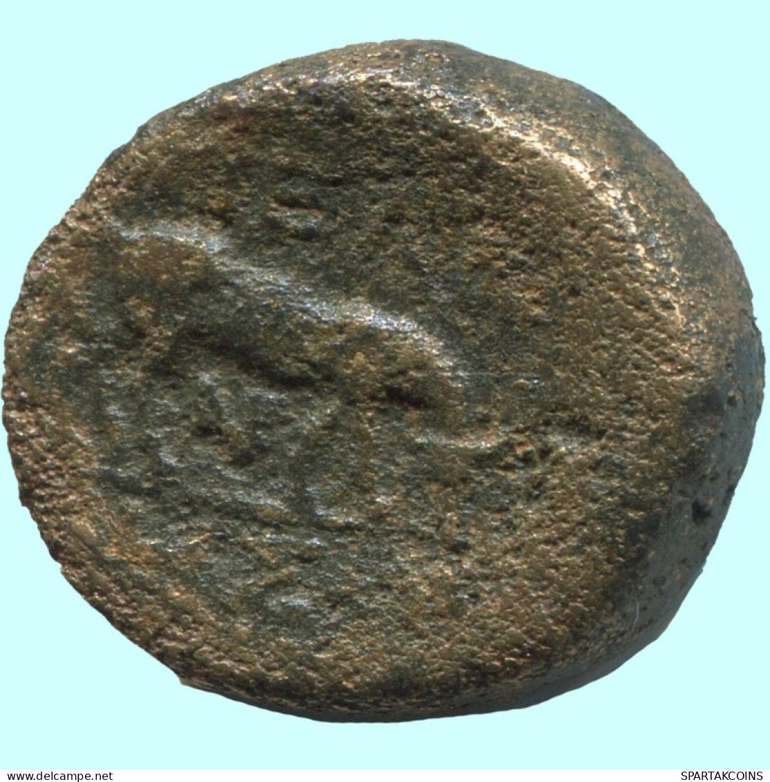 BULL Auténtico ORIGINAL GRIEGO ANTIGUO Moneda 8g/20mm #AF864.12.E.A - Griechische Münzen