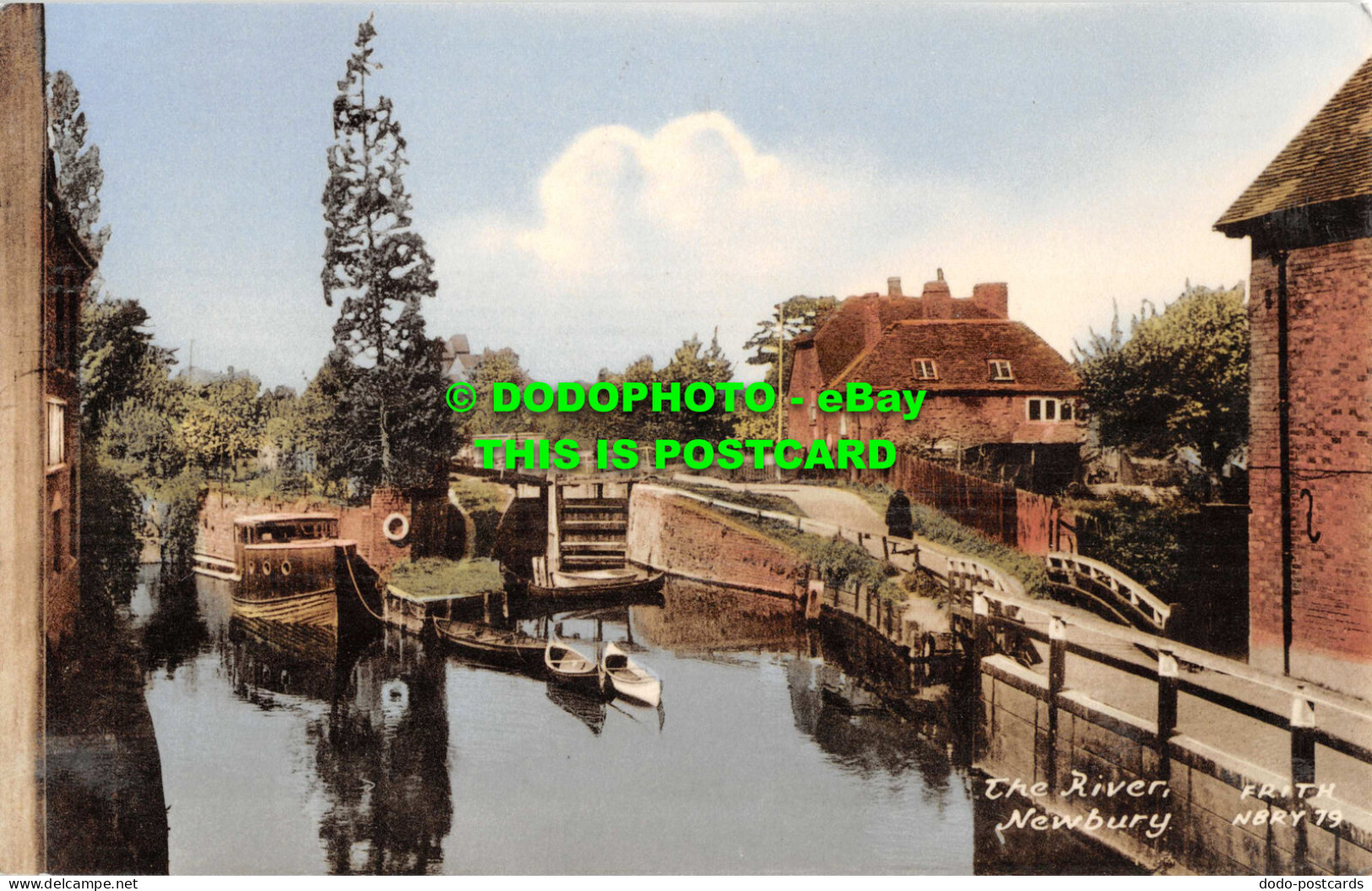 R549487 Newbury. The River. F. Frith - World