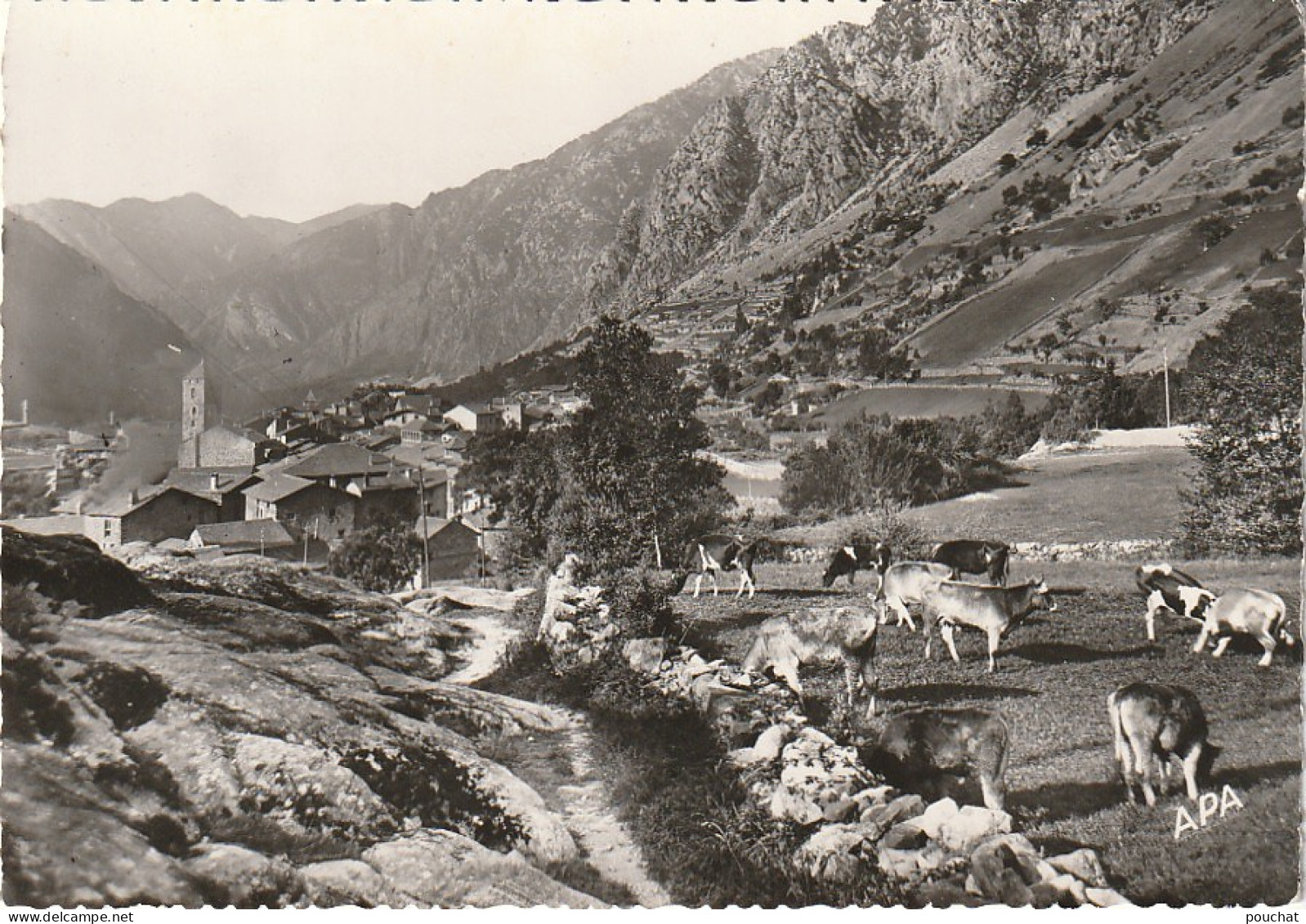 NE 23 - VALLS D' ANDORRA - ANDORRA LA VELLA, VISTA GENERAL - ANDORRE LA VIEILLE - VUE GENERALE - TROUPEAU DE VACHES  - Andorre