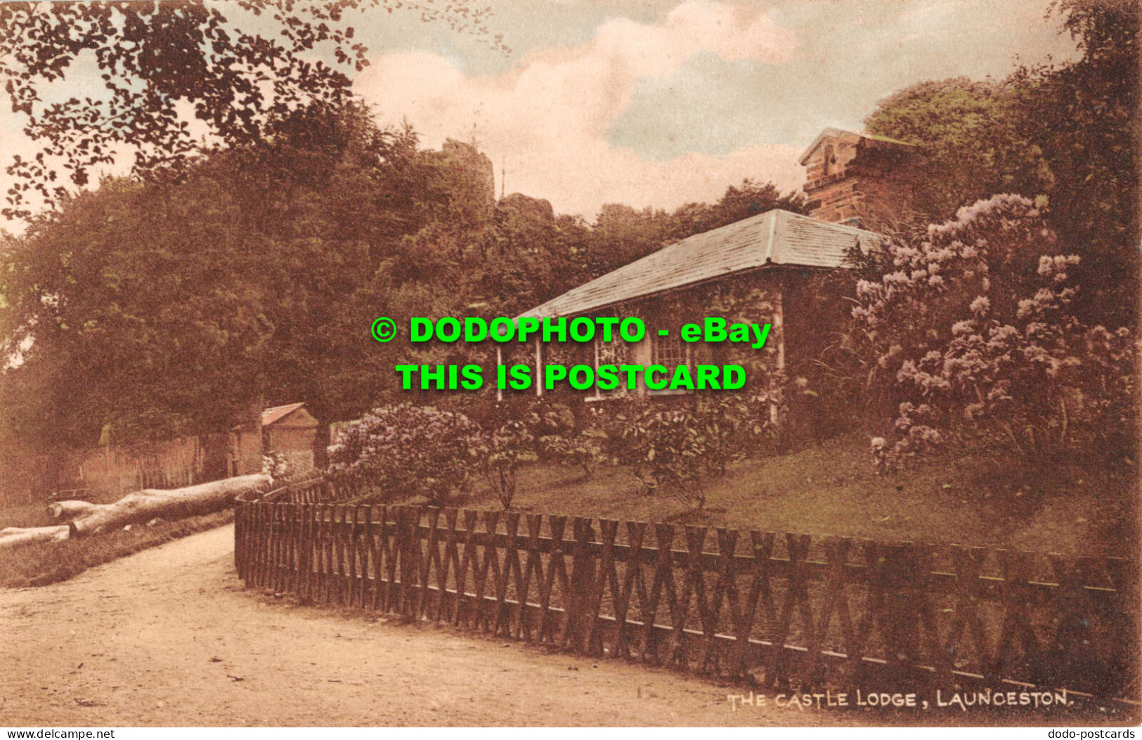 R549496 Launceston. The Castle Lodge. Postcard - World