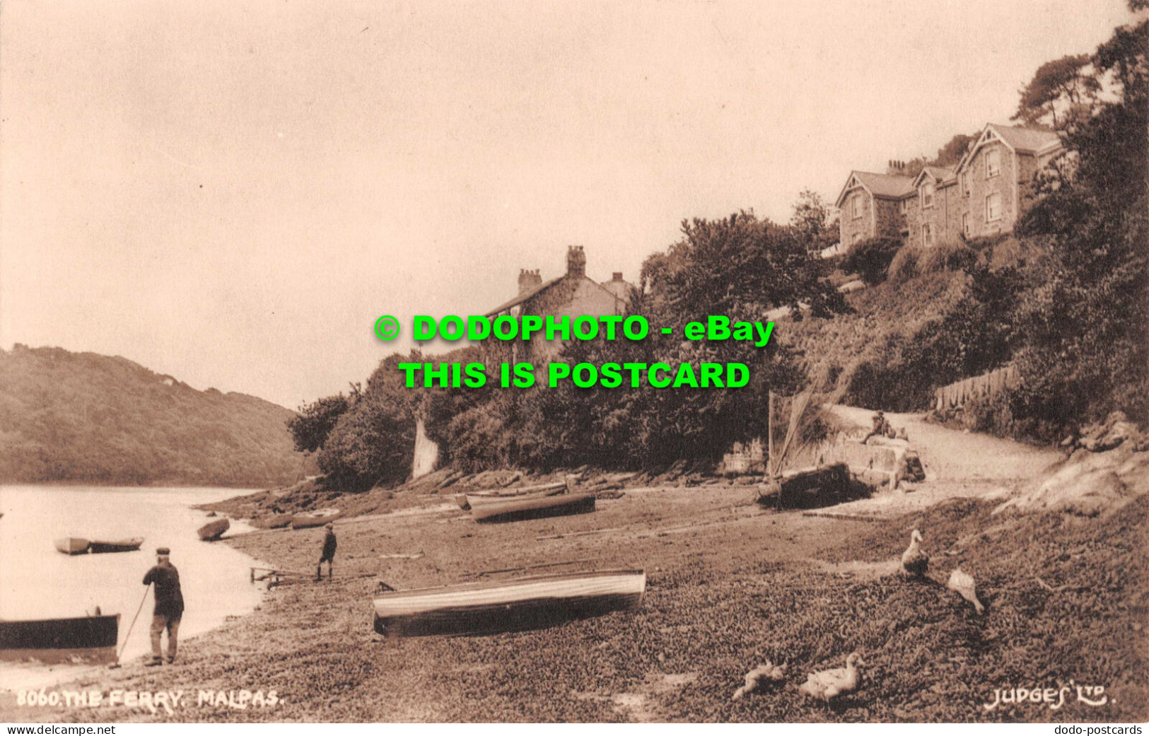 R549497 Malpas. The Ferry. Judges. 8060 - World