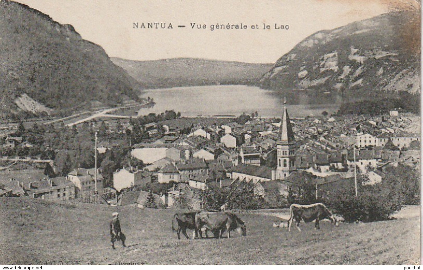 OP 1-(01) NANTUA - VUE GENERALE ET LE LAC  - VACHES AUX PATURAGES - 2 SCANS - Nantua