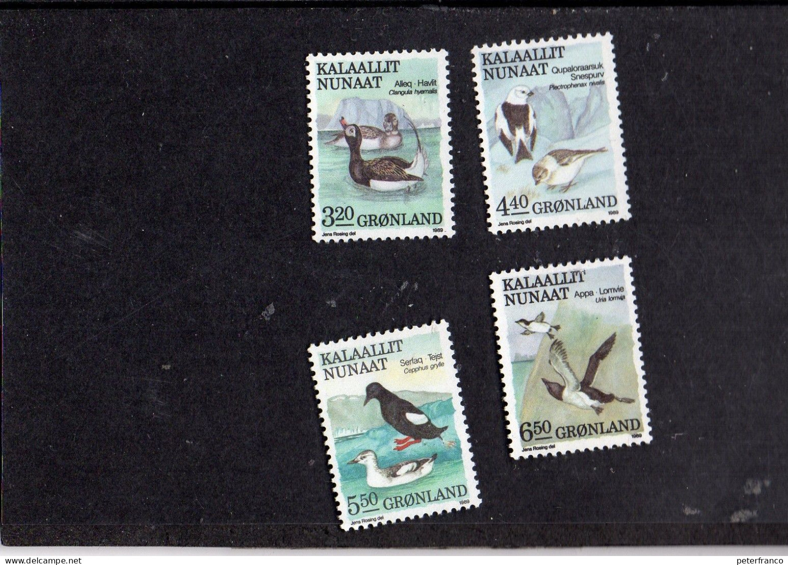 1990 Groenlandia - Uccelli - Unused Stamps