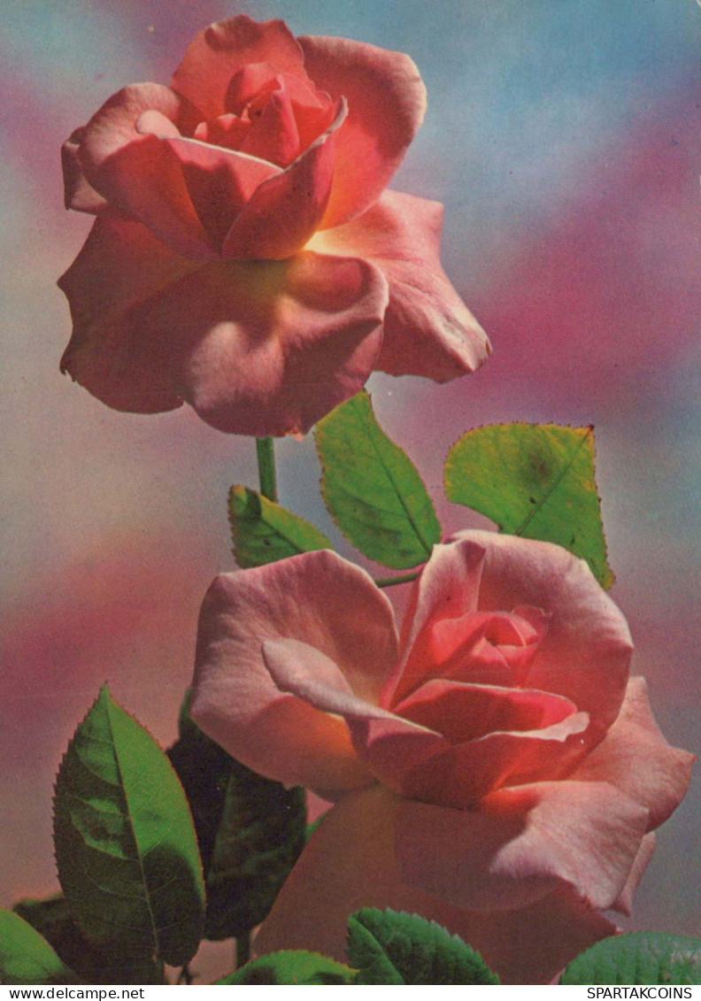 FIORI Vintage Cartolina CPSM #PAS151.A - Flowers