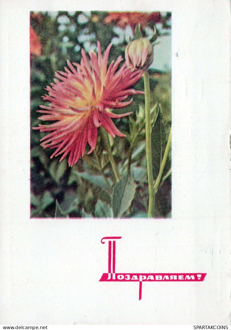 FIORI Vintage Cartolina CPSM #PAR690.A - Flowers