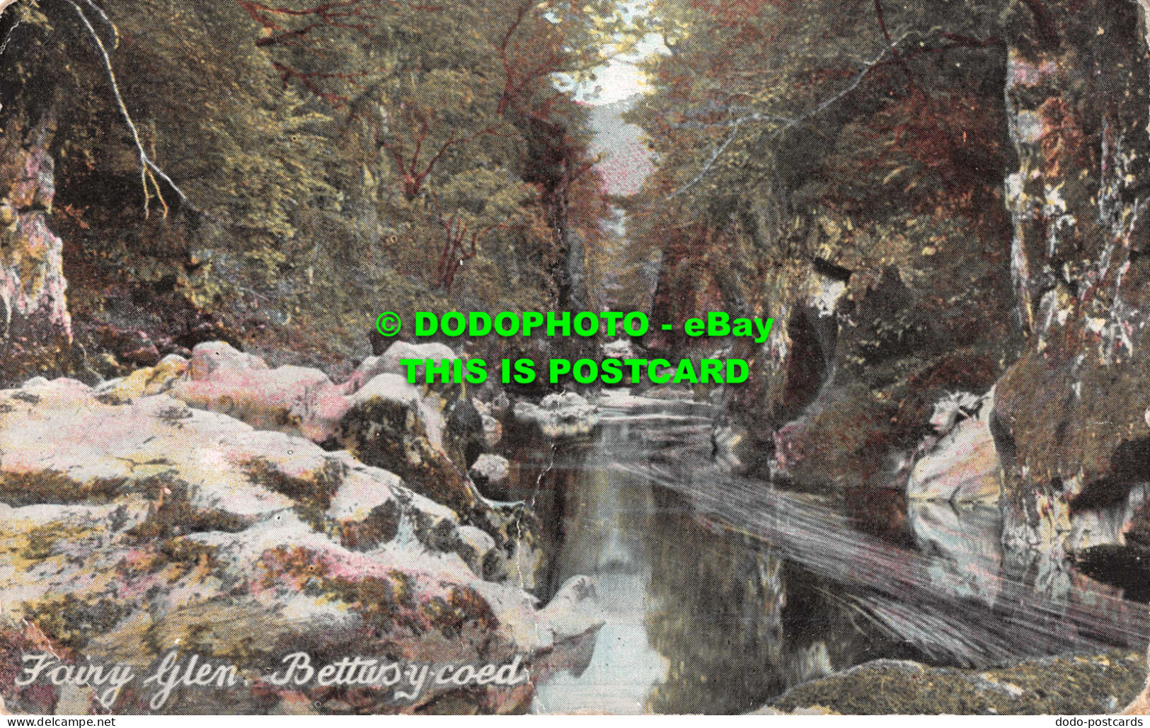 R549510 Bettws Y Coed. Fairy Glen. Shurey. This Beautiful Series Of Fine Art Pos - World